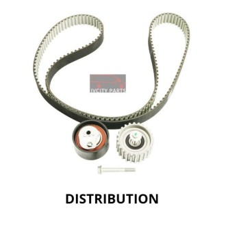 distribution