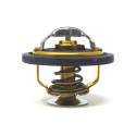 500329622 THERMOSTAT
