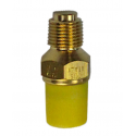 Sonde de température d'eau iveco daily