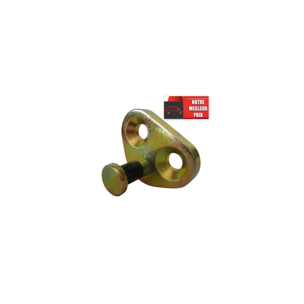 Gache de porte arrière gauche 500338179